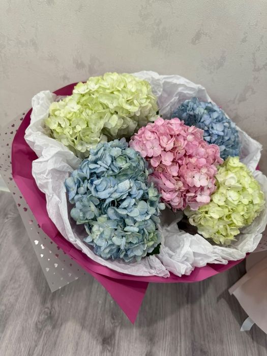 Продам цветы Гартензия  вчерашние