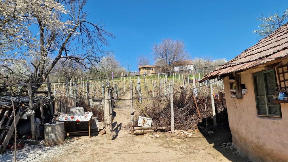 Gospodărie autentică și teren 2.600 mp – Ianca, Olt – Aproape de Dunăre