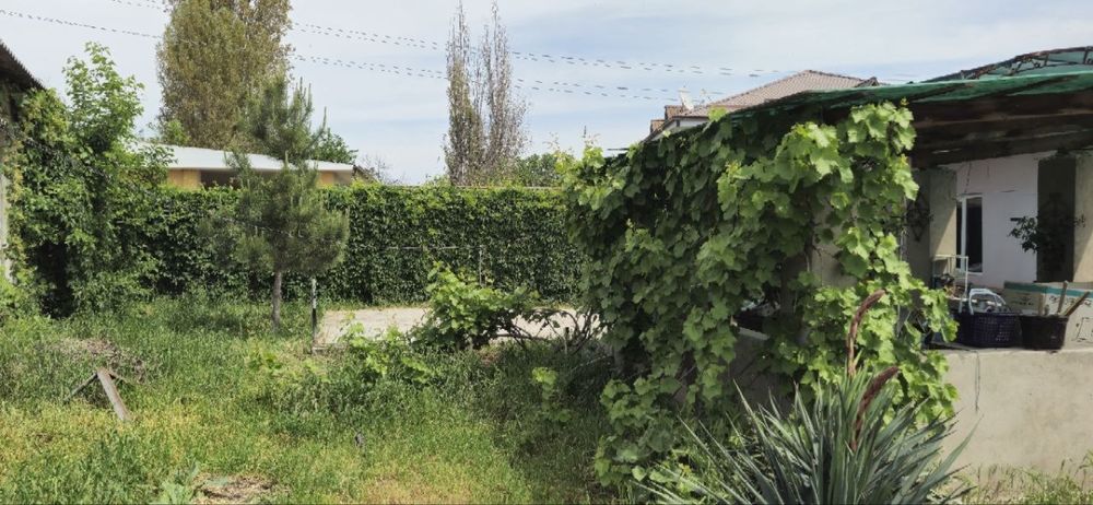 Продается Дача в Куйчирчикском районе