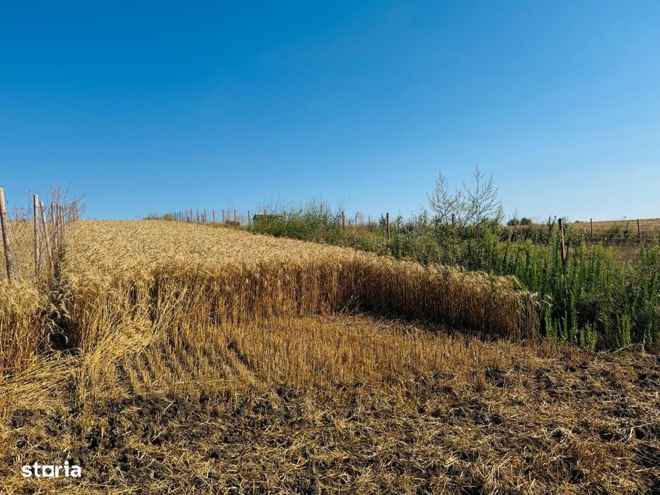 15000mp Horlesti Breazu , zona case noi