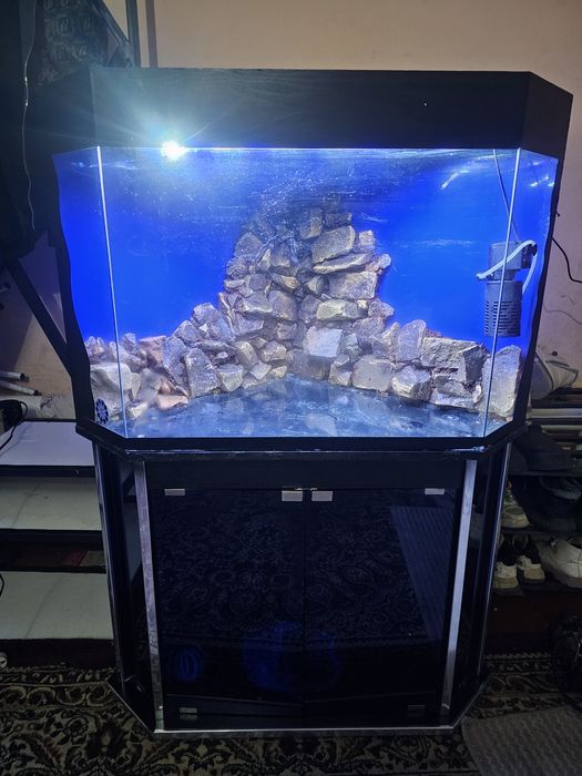 Srochniy akvarum sotiladi