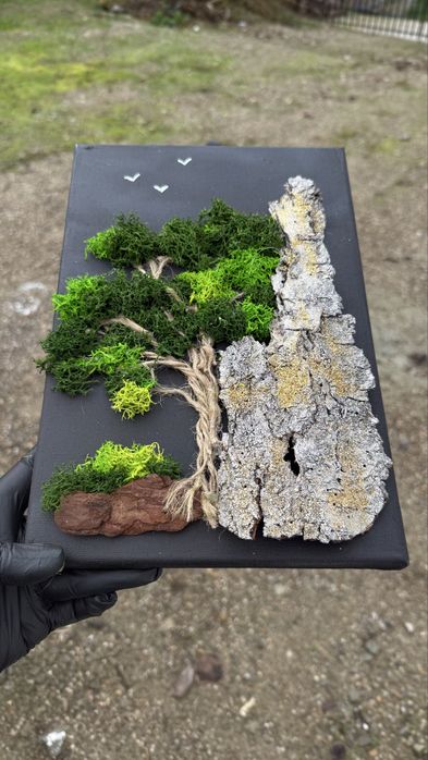 Tablou licheni 20x30