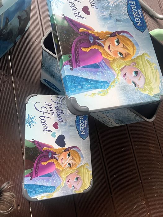 Кутии за съхранение FROZEN