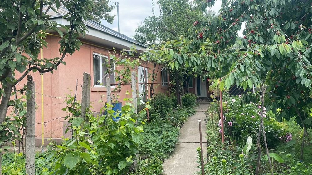 teren 3609 mp si casa de vanzare