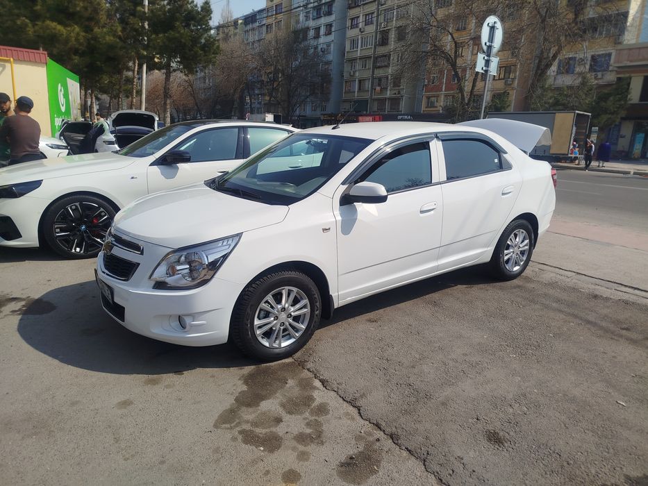 Cobalt sotoladi 2020