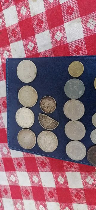 bani  monede  si  bancnote
