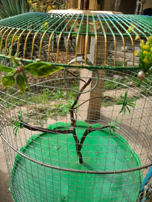 qafas sotiladi ruchnoy