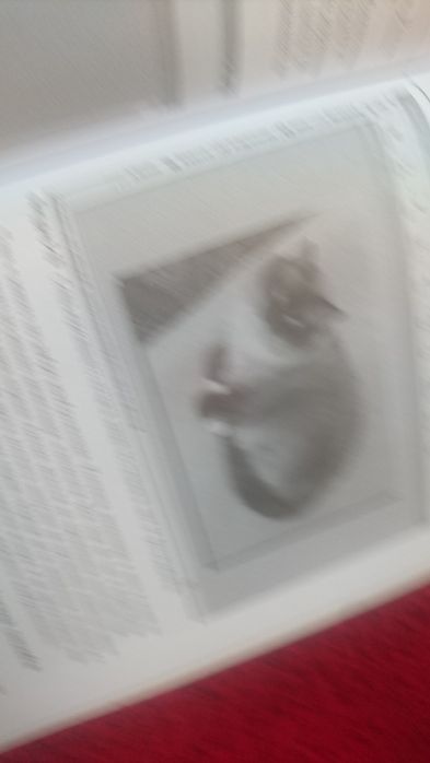 Учебник Цифрова фотографии