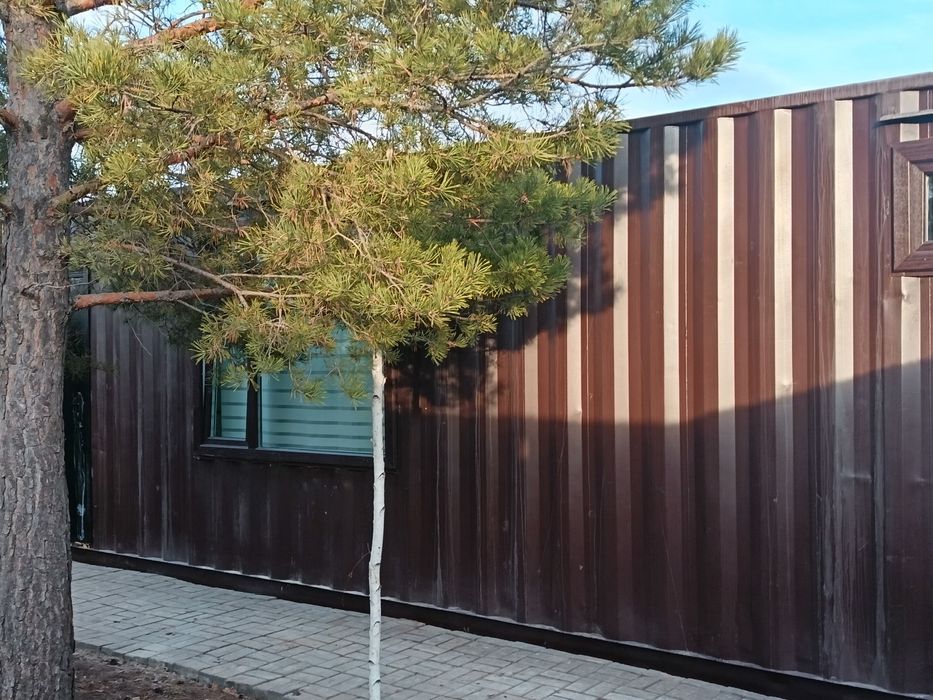 Продам баню-сауну