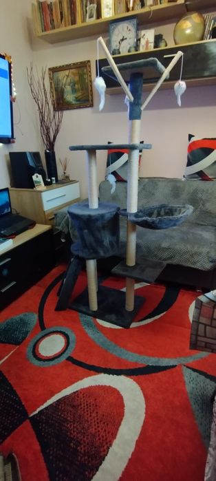 Ansamblu de joaca pentru pisici