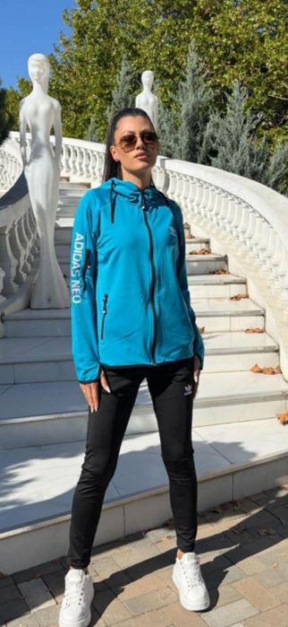 Trening dama diferite modele