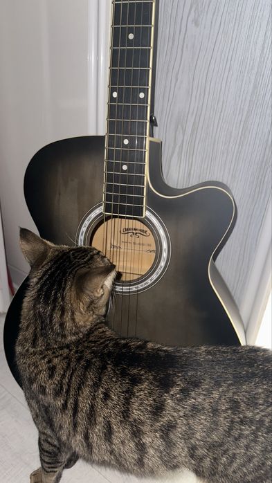 Акустическая гитара