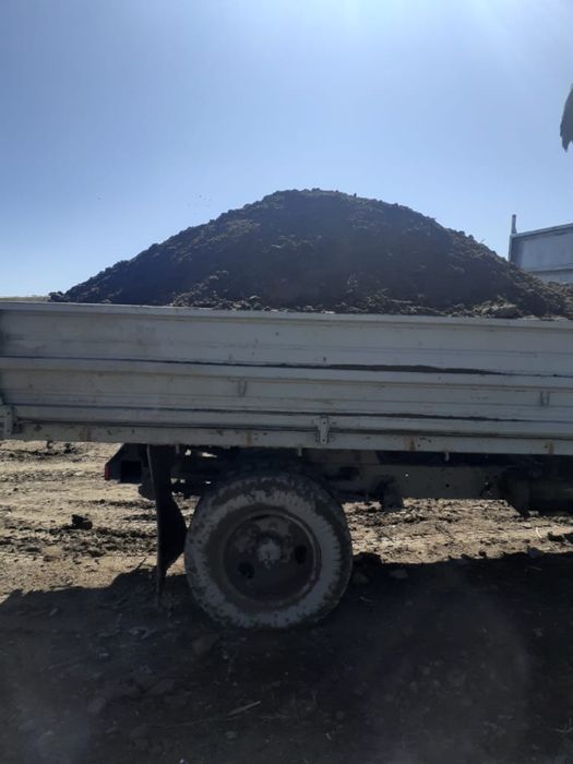 Көң бар шеңгелдің топырағы бар