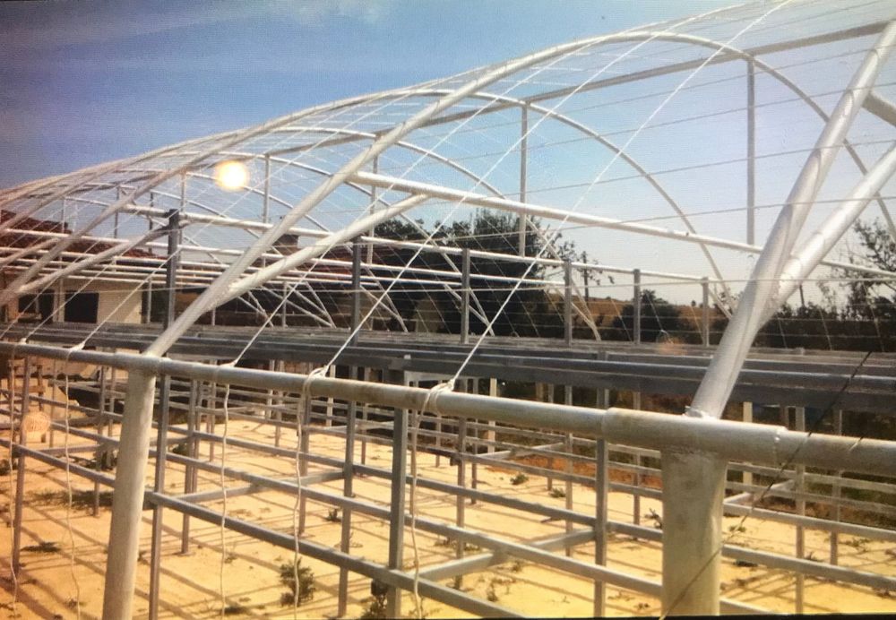 Ферми за оранжерия