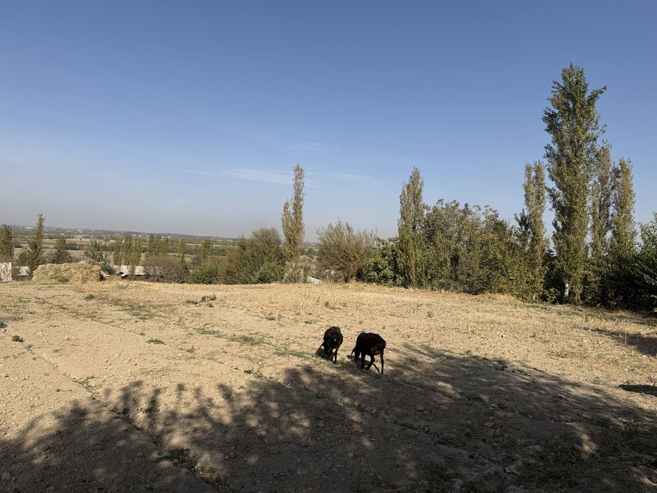 СРОЧНО Продаётся участок 11