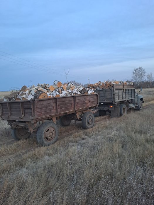 Продам дрова береза