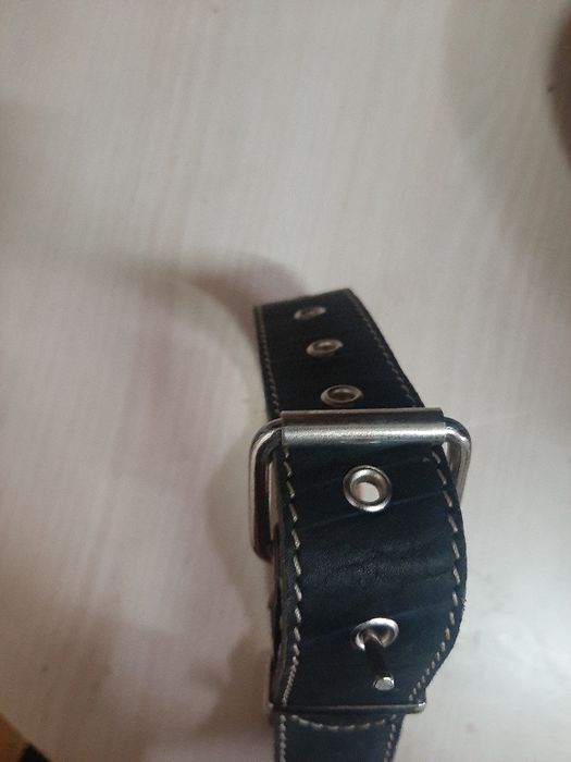 Кожени каишки и метален повод за куче.