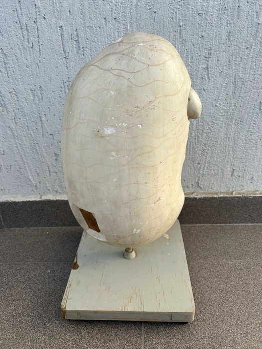 Соц Учебни Модели Макети