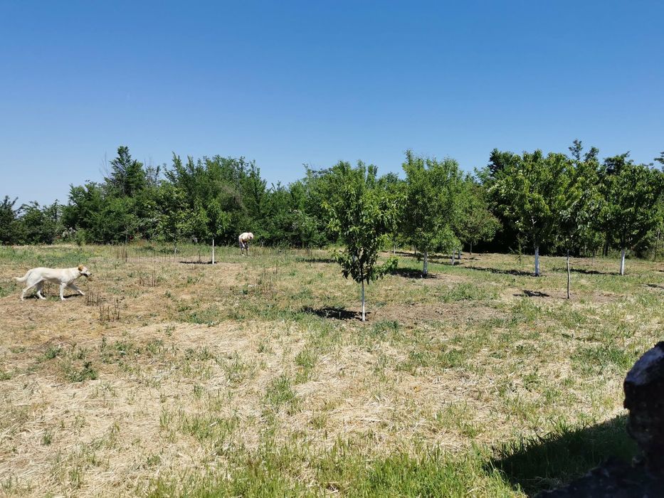 Продава се Къща в Лом - 100 кв.м за 102 €/кв.м - Снимка #8