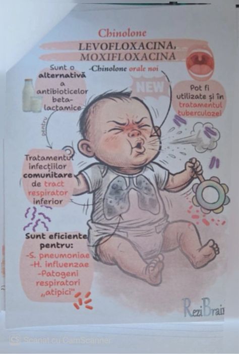 Flashcarduri Antibiotice Rezibrain rezidentiat