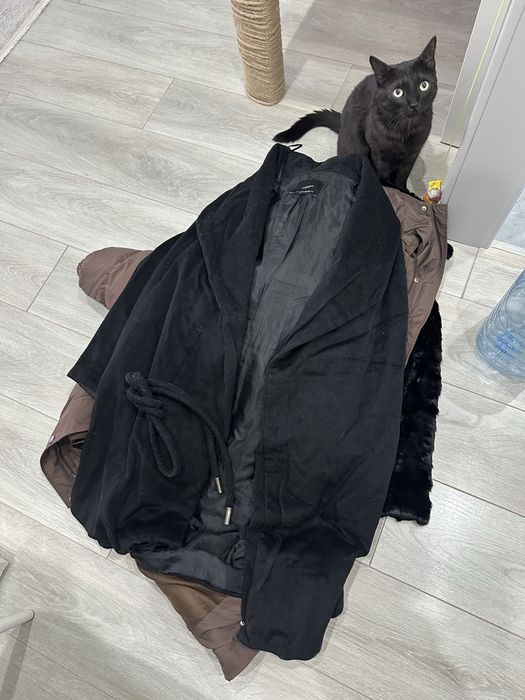 Куртка(зимняя) и пальто(манго)