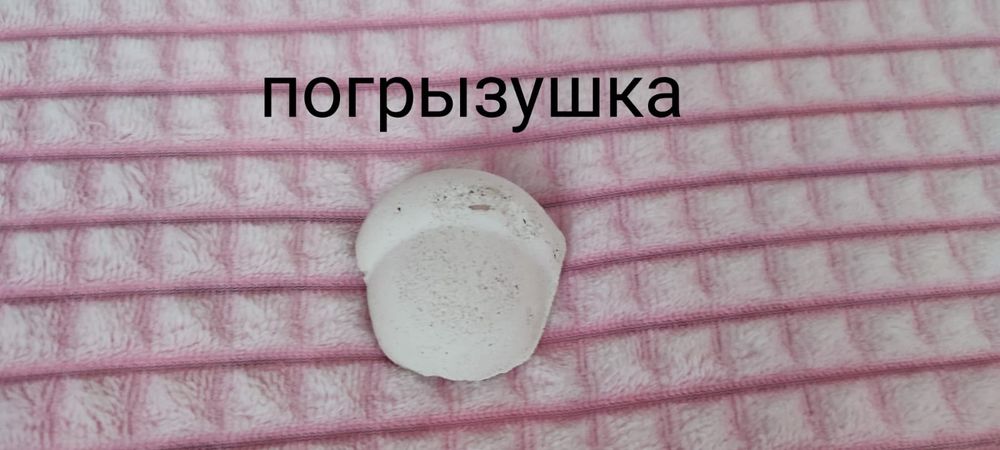 Продам домик для хомячка