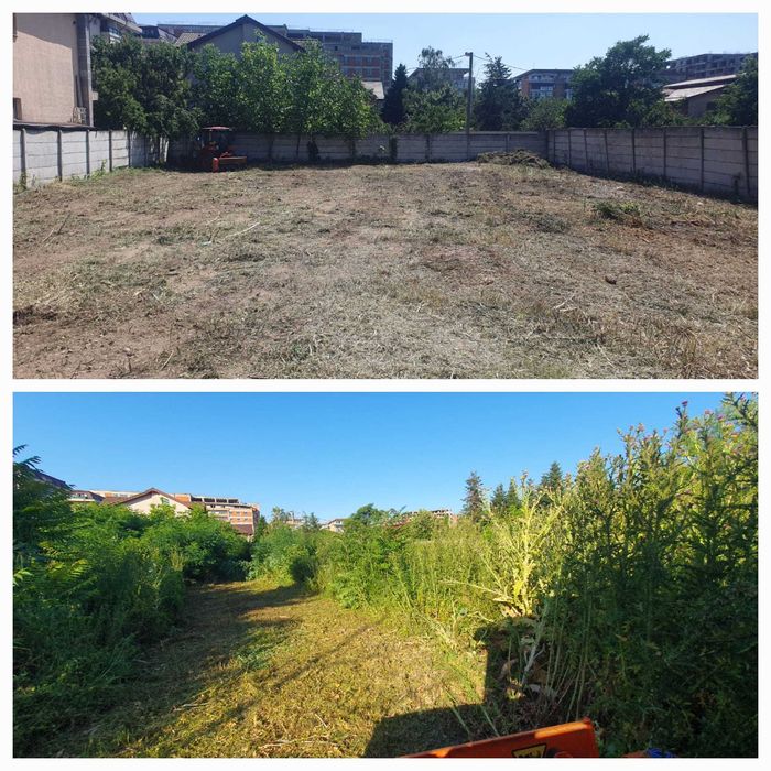 Igienizare, defrisare, curatare terenuri, vegetatie, ambrozie