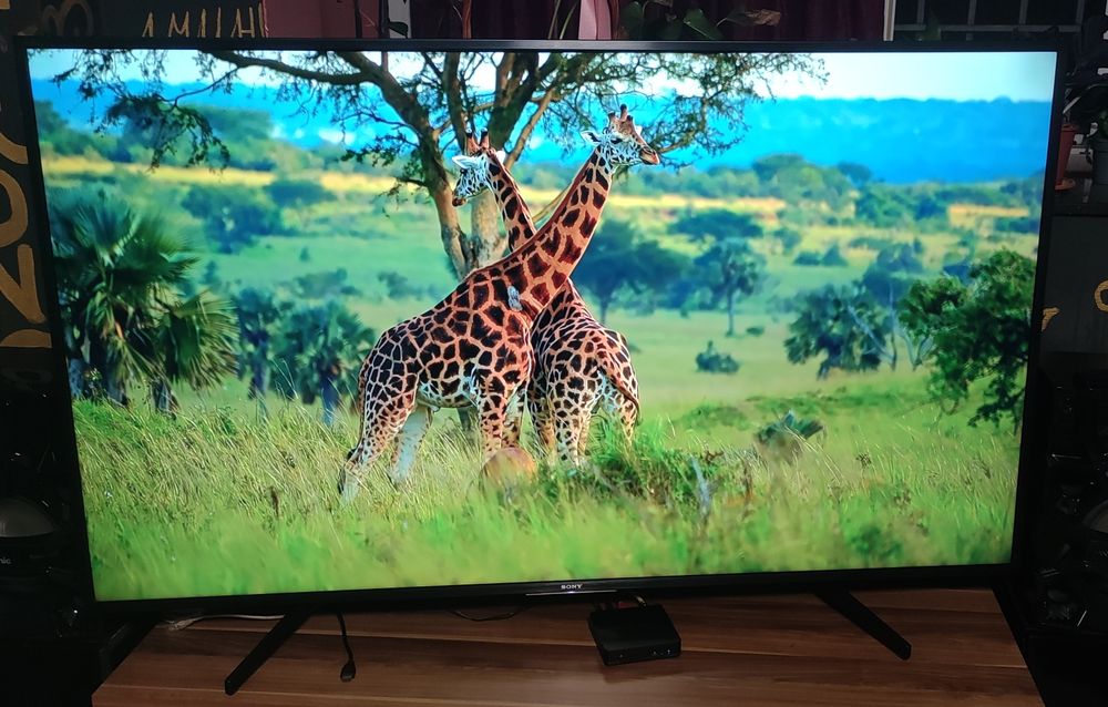 Телевизор Sony KD65XG7096