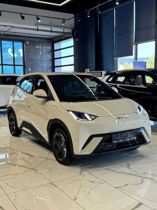 BYD Seagull pod zakaz