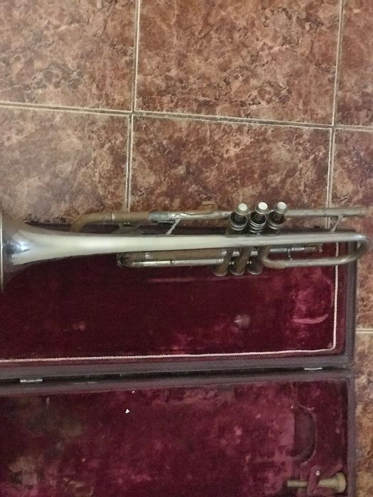 Запазен тромпет с кухарче