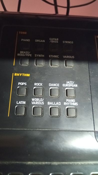 Sintetizator Casio MZX 300