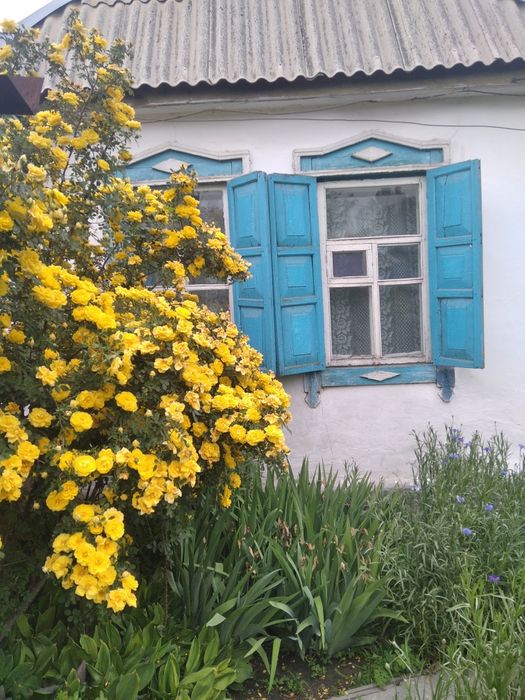 Продам дом в центре в районе бывшего базара Даубай