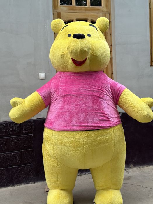 Kotta ayiqlar Sotilad