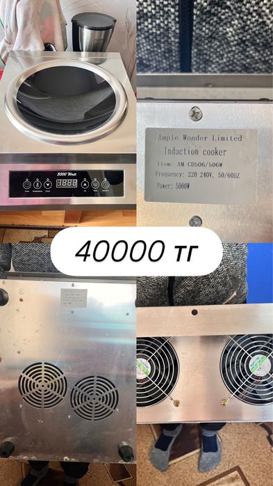 Плита индукционная электрическая и мясорубка