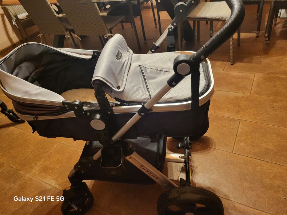 Chipolino havana silver