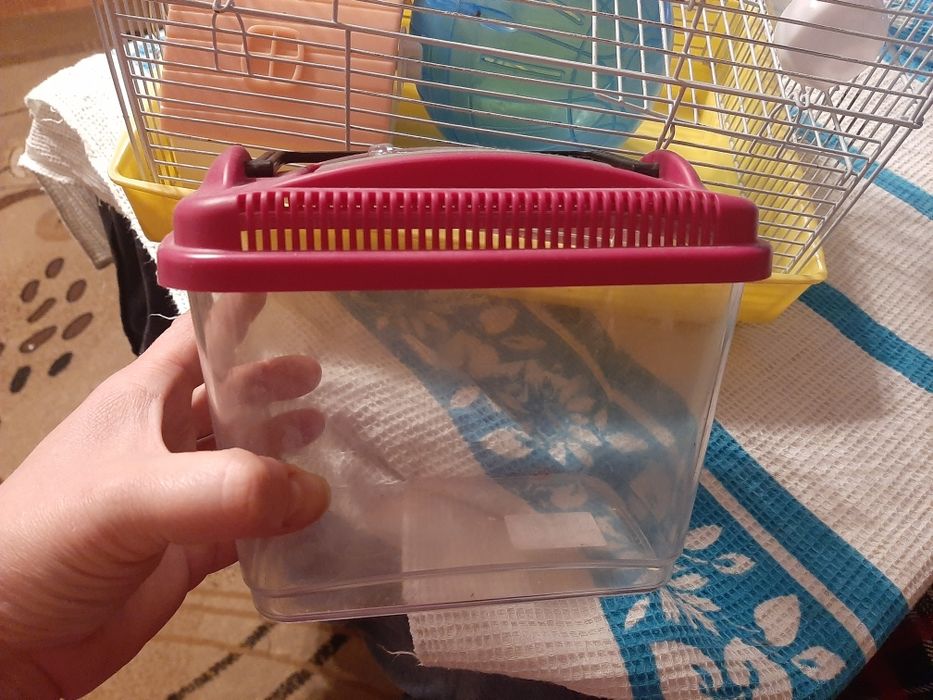 Клетка для хомяков в комплекте.