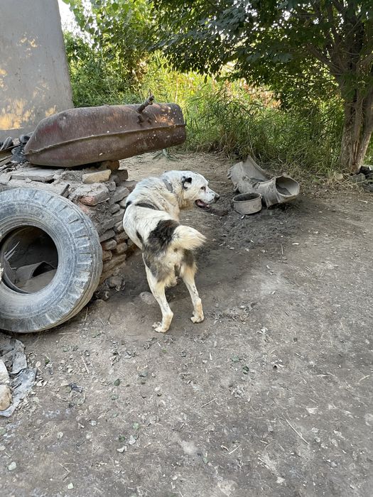 Катта Складлар Арендага берилади