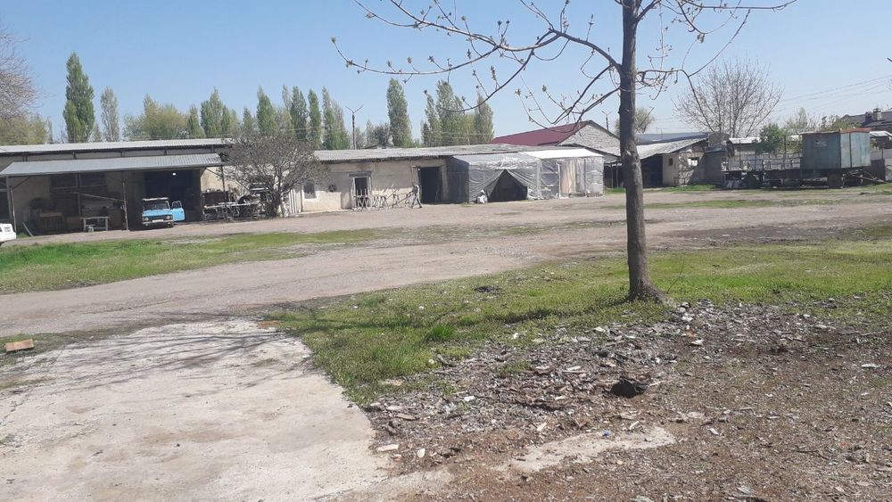 Mirzo Ulug'bek tumani  Yangi O'zbekiston bog'iga yaqin 60 sotix yer