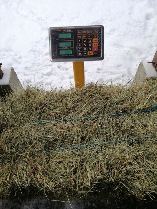 Fan de vanzare (an prod:2025)