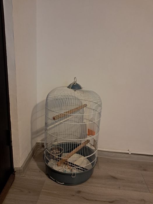 Vind colivie pasari