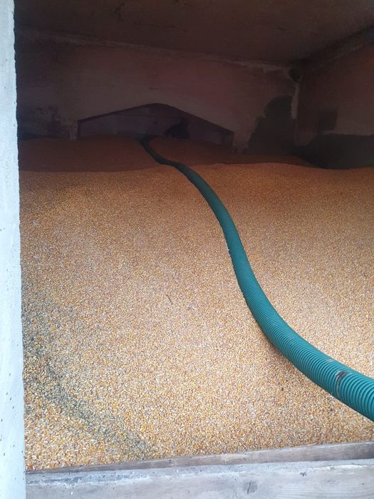 Snec cereale flexibil 6 metri 220v