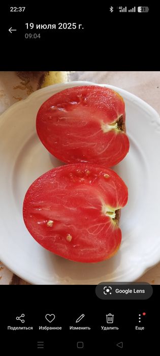 Продаю семена помидор,