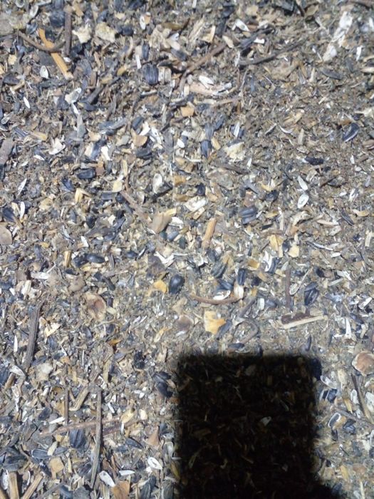 Продам. Отходы.  . подсолнечника. Хорошыи