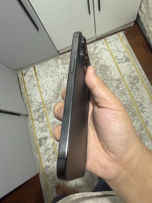 15 про макс 256