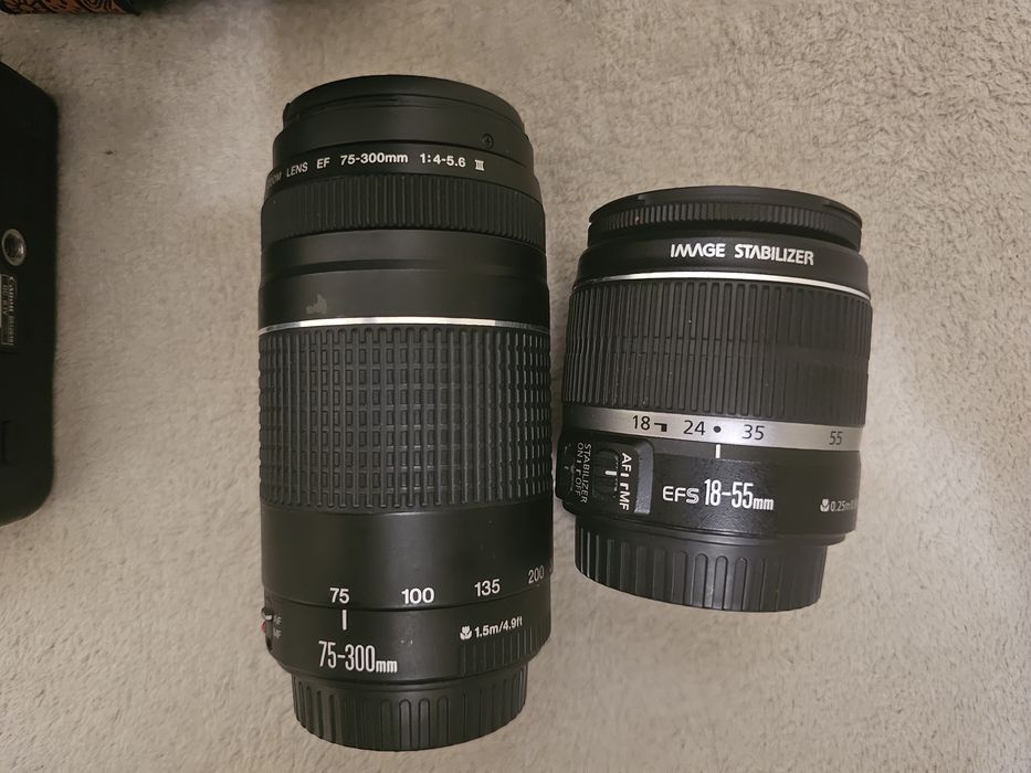 Kit Complet DSLR Canon EOS 1000D + 2 Obiective (18-55mm + 75-300mm) + Geantă Lowepro, Impecabil