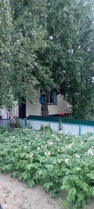 Продам дом на два хозяина