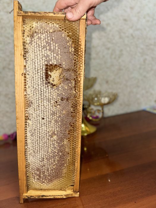 Asal Propolis Ramka | Рамка Мёда Прополис