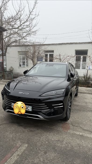 BYD Gibrit 150 lik 2024