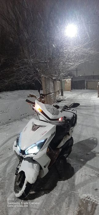 М 10 Звер нахаду