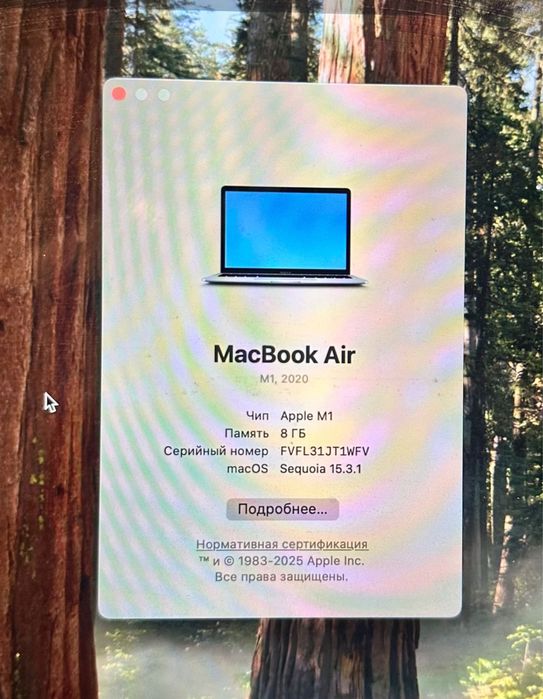 Apple Macbook Air 256 GB